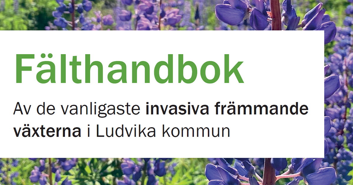 Del av omslaget till fälthandboken av invasiva arter i Ludvika kommun.